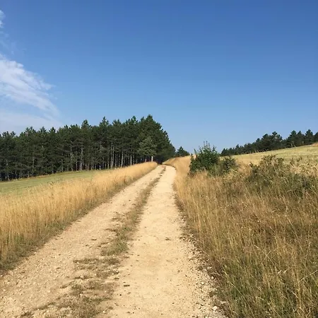 L'oree Des Pignes Holiday home