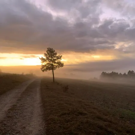 Holiday home L'oree Des Pignes *