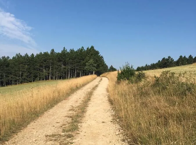 L'oree Des Pignes Дом отдыха