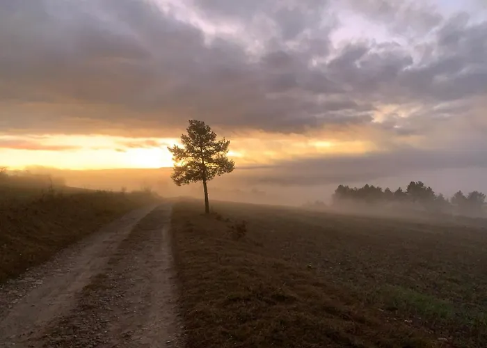 Дом отдыха L'oree Des Pignes *