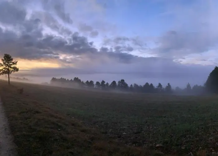 L'oree Des Pignes Nojaret